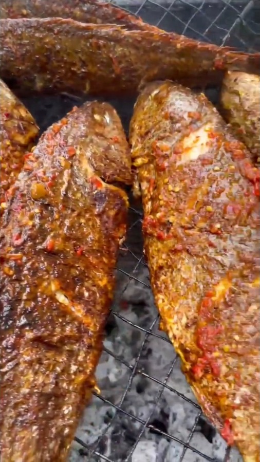 Freshly grilled food